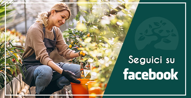 seguici-su-facebook-1.jpg